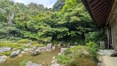 桂徳院(京都府)