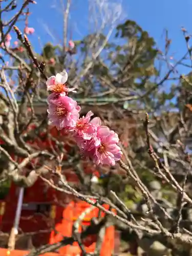 北野天満宮の自然