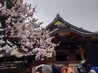 湯島天満宮の本殿・本堂