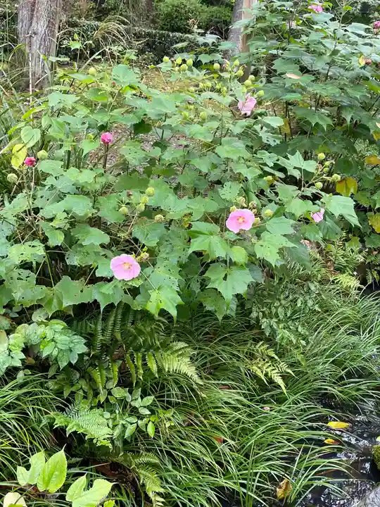 天龍寺(京都府)