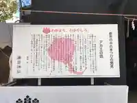 廣田神社の歴史