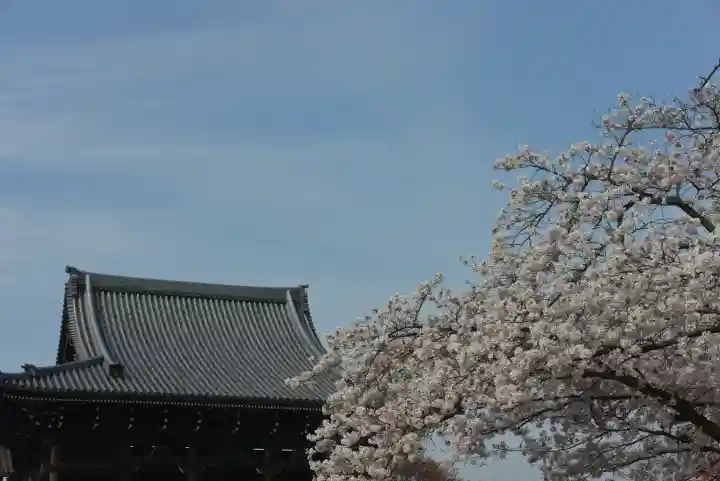 金蔵寺(千葉県)