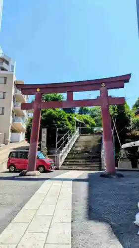白金氷川神社の鳥居