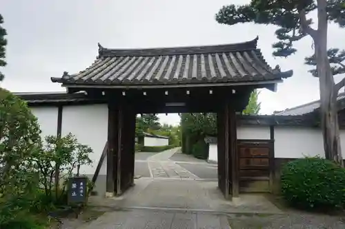  智積院の山門・神門