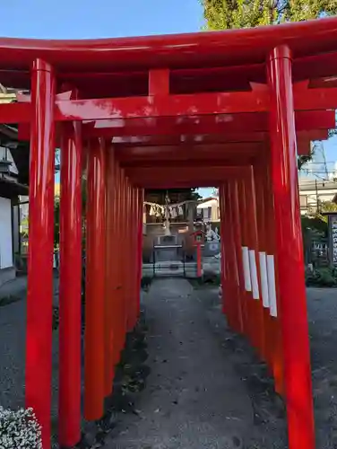 相模原氷川神社(神奈川県)