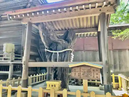 鶴嶺八幡宮のその他建物
