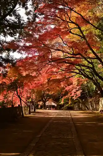 永源寺(滋賀県)