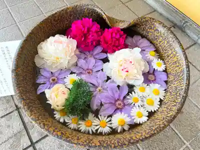 美瑛神社の手水舎