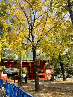 葛飾八幡宮(千葉県)