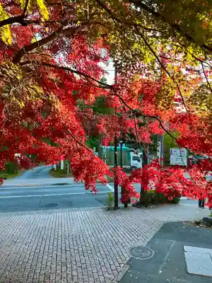深大寺(東京都)