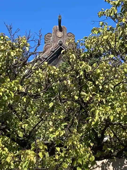 薬師院(神奈川県)