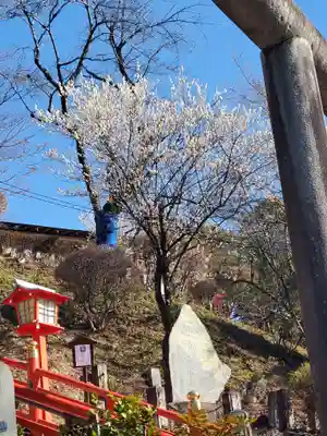 足利織姫神社(栃木県)