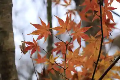 寂光院(京都府)