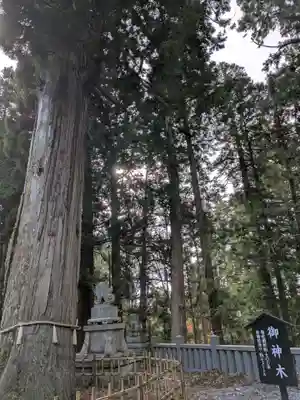 戸隠神社中社(長野県)
