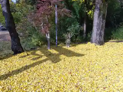 白山神社(滋賀県)