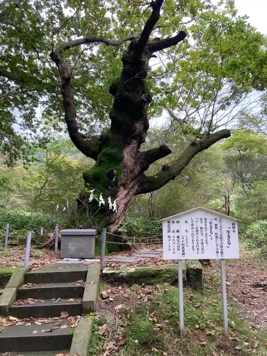那須温泉神社(栃木県)