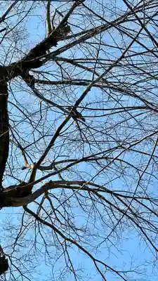 呉服神社(大阪府)