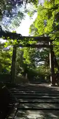 北海道神宮の鳥居