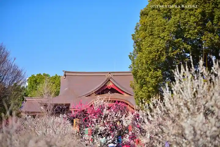 亀戸天神社(東京都)