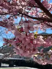 かっぱの寺 栖足寺(静岡県)