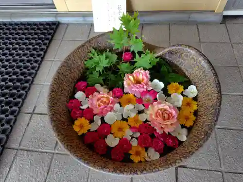 美瑛神社の手水舎