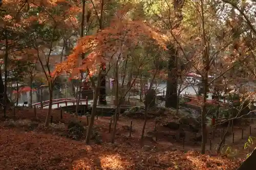 間々田八幡宮(栃木県)
