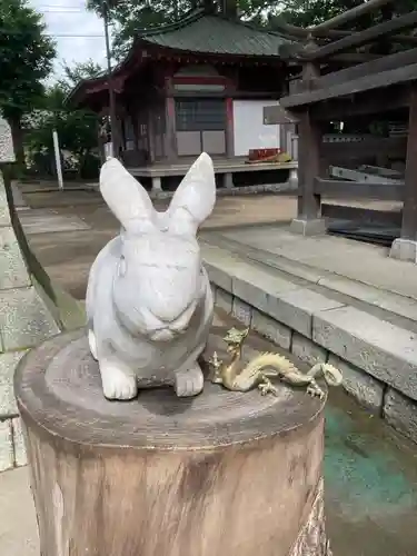 (下館)羽黒神社の狛犬