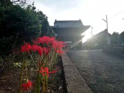 全忠寺のその他建物