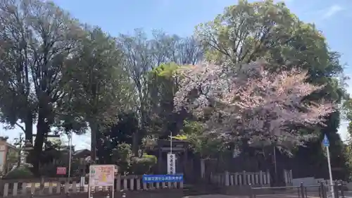 稲荷神社(東京都)