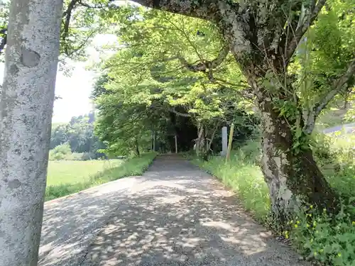 板井神社の建物その他