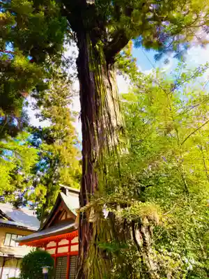 香取神宮(千葉県)