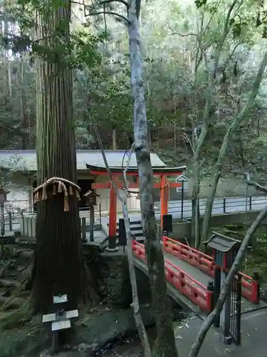 東光院の鳥居