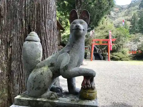 兒原稲荷神社の狛犬