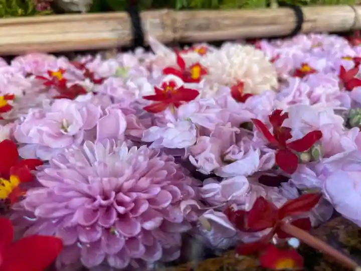 生田神社(兵庫県)