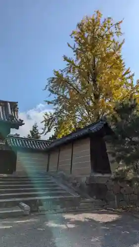 隨心院（随心院）(京都府)