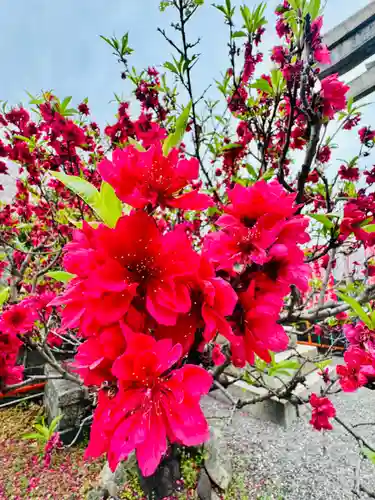 六孫王神社(京都府)