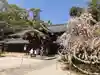 今宮神社の本殿・本堂