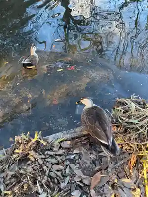乃木神社(栃木県)