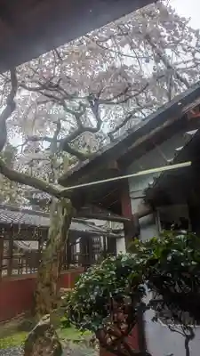 十輪寺(京都府)