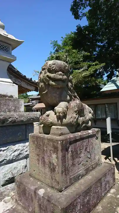 白子神社の狛犬