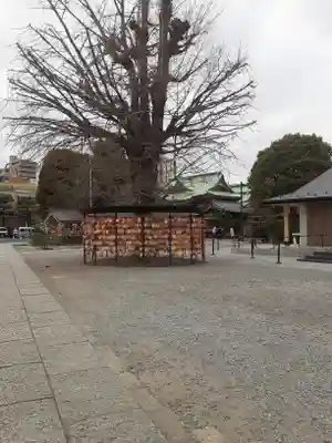 今戸神社(東京都)