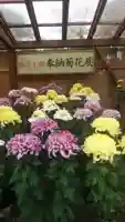 大神神社(奈良県)