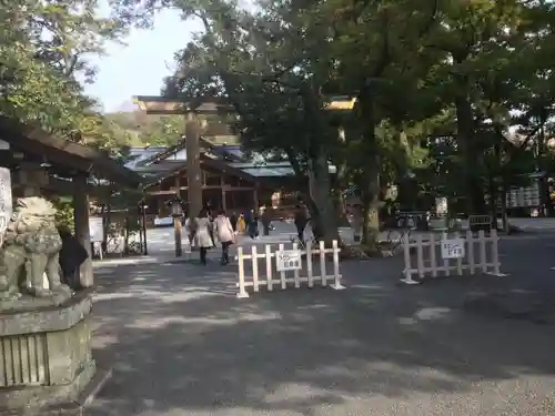 猿田彦神社の鳥居