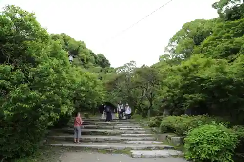 天開稲荷社の自然