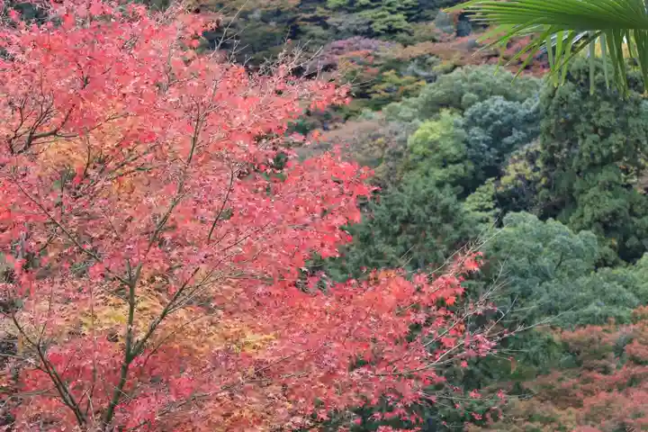 善峯寺(京都府)