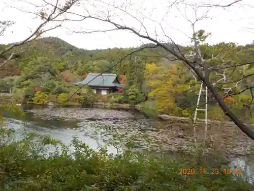 龍安寺の景色