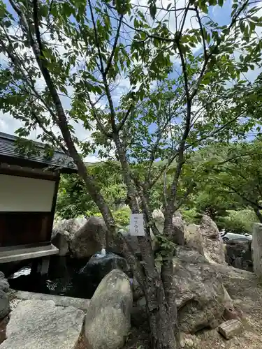 夫婦木神社姫の宮(山梨県)