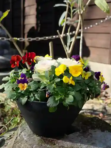 普門寺(切り絵御朱印発祥の寺)(愛知県)