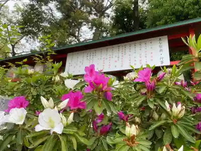 和泉國一之宮　大鳥大社のその他建物