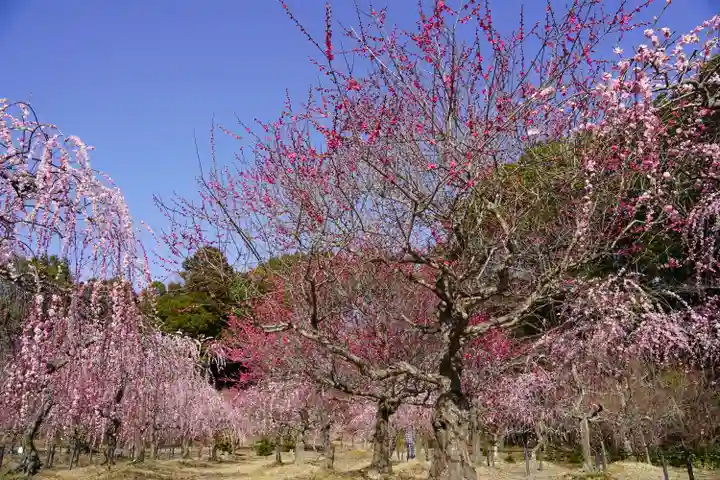 菅原神社(三重県)